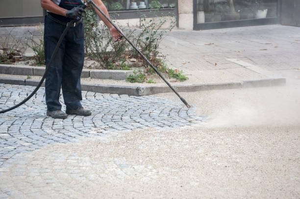 Best Fence Cleaning  in Brownsville, FL